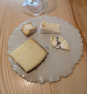 20250403_PXL112720213_Pixel7a-JEB